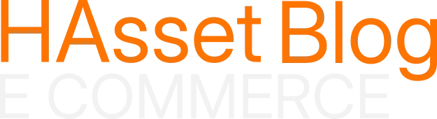 HAsset Blog e Commerce CSM