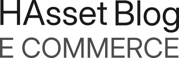 HAsset Blog e Commerce